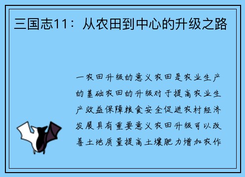 三国志11：从农田到中心的升级之路
