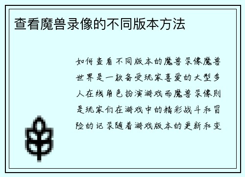 查看魔兽录像的不同版本方法